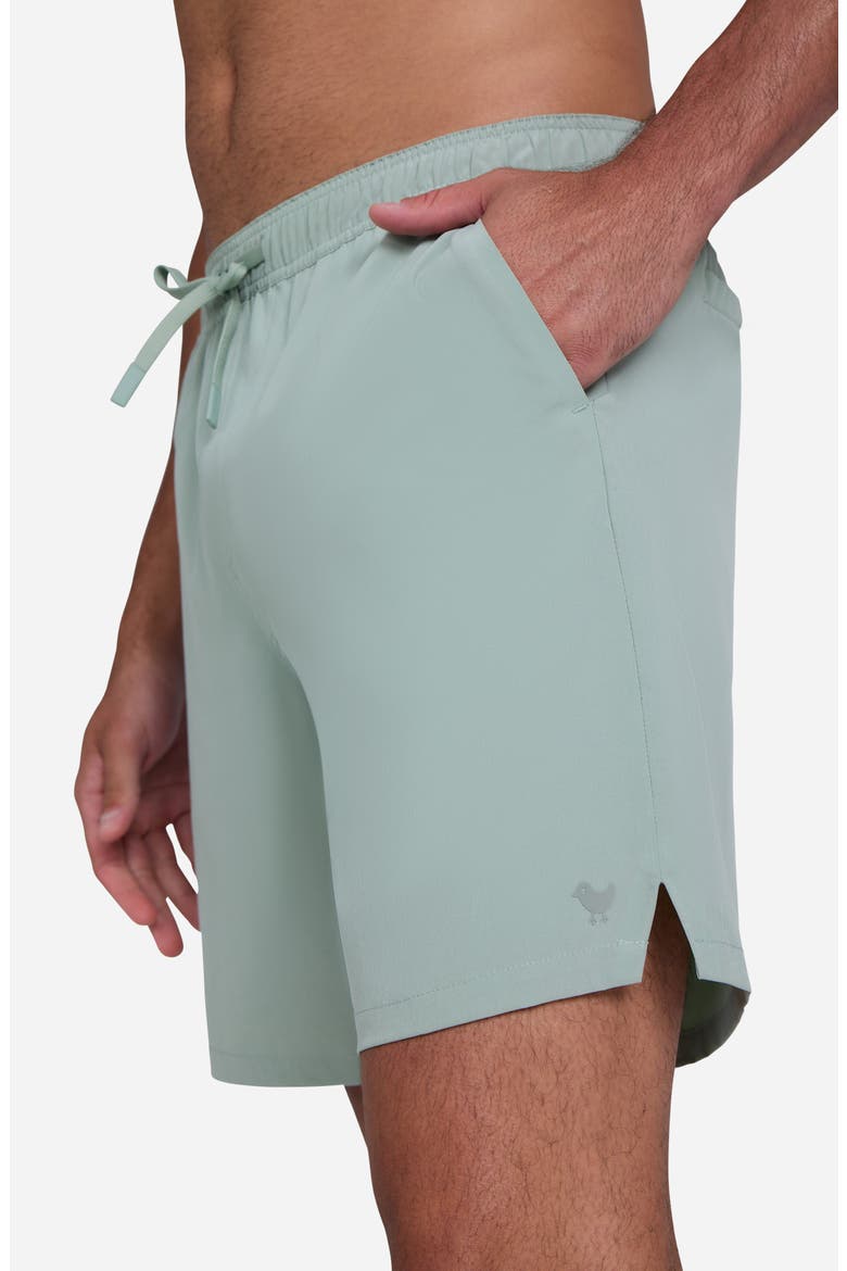 Active Shorts, Alternate, color, WASHED SAGE