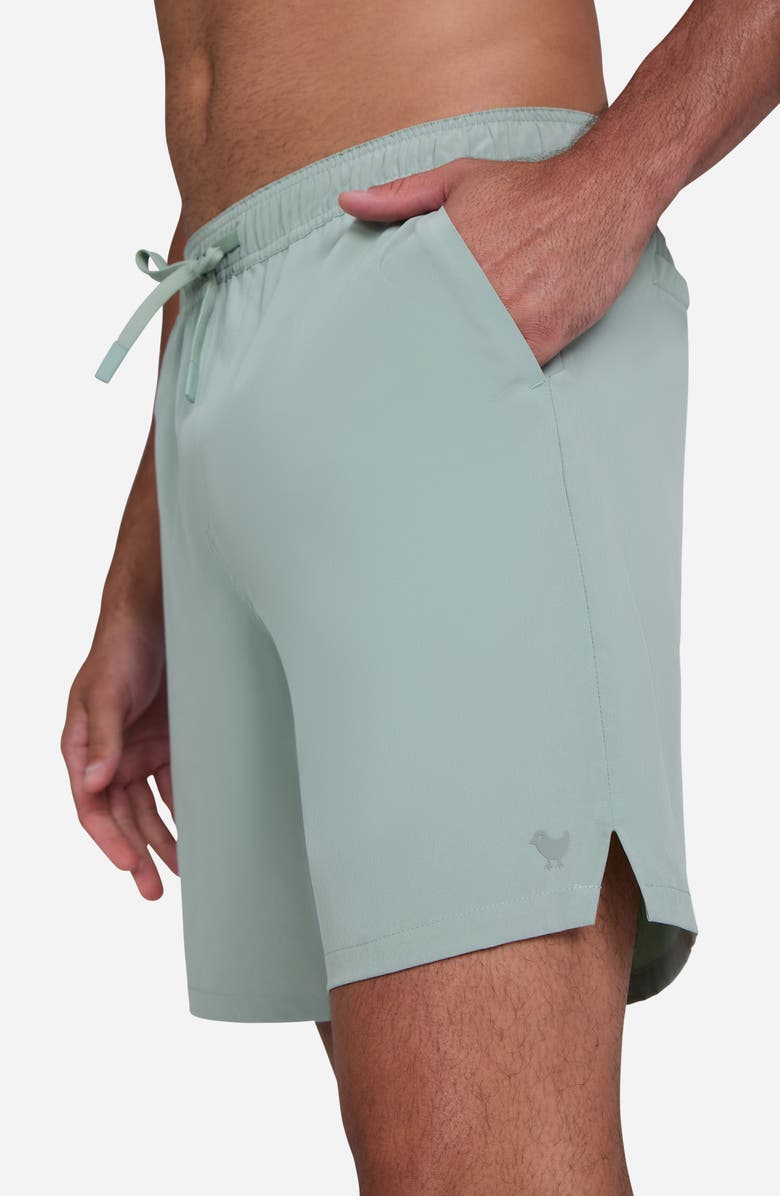 Bad Birdie Active Shorts, Alternate, color, Washed Sage