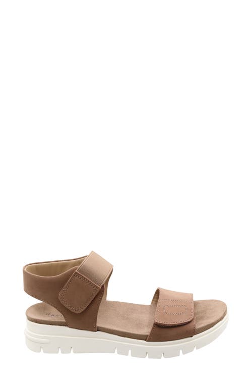 David Tate Papaya Slingback Sandal In Taupe