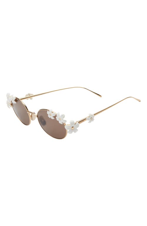 Loewe Signature Oval Sunglasses In Gold