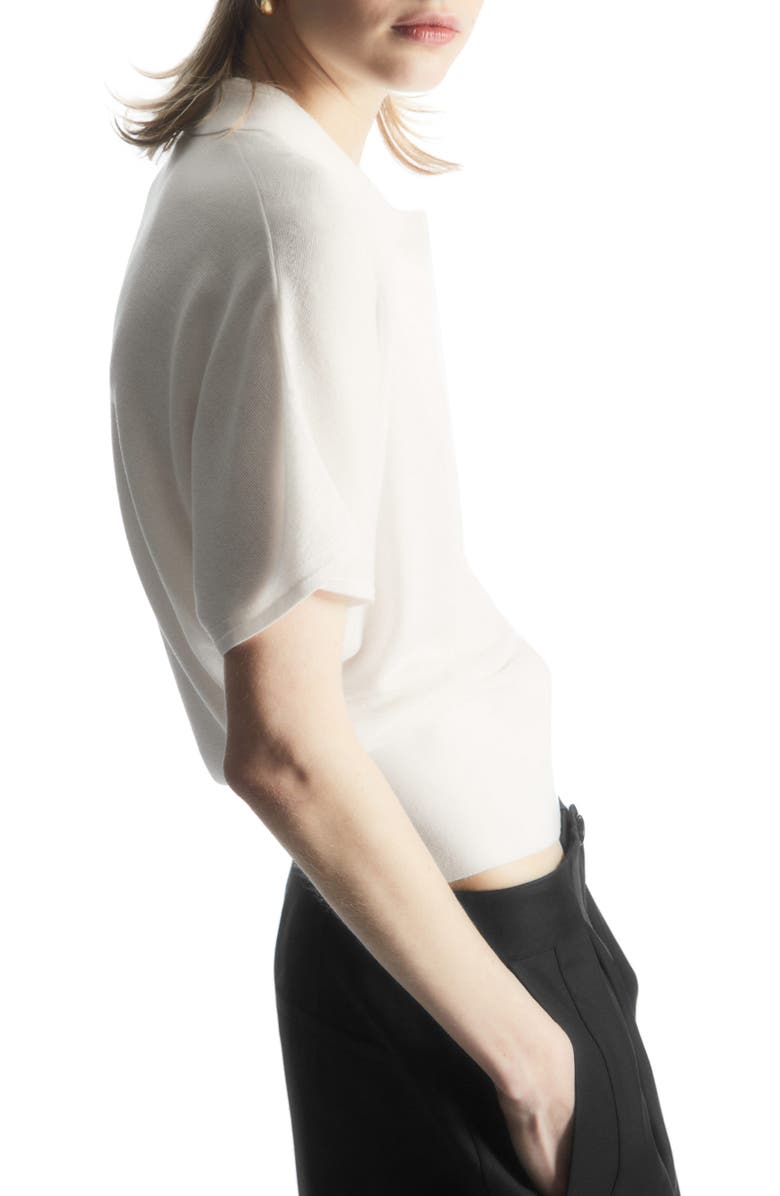 COS Knit Polo, Alternate, color, 