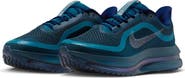 Nike Pegasus Premium Running Shoe
