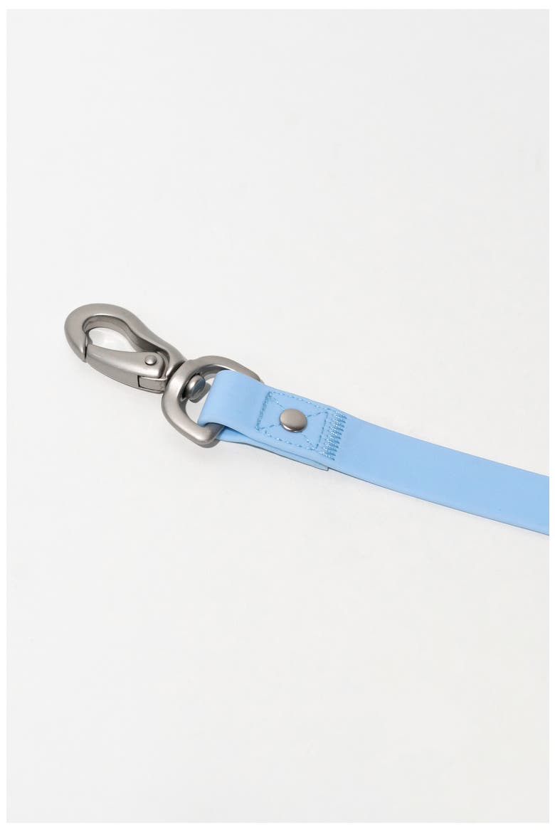 Dog Leash & 15 oz. Water Bottle Set, Alternate, color, SKY BLUE