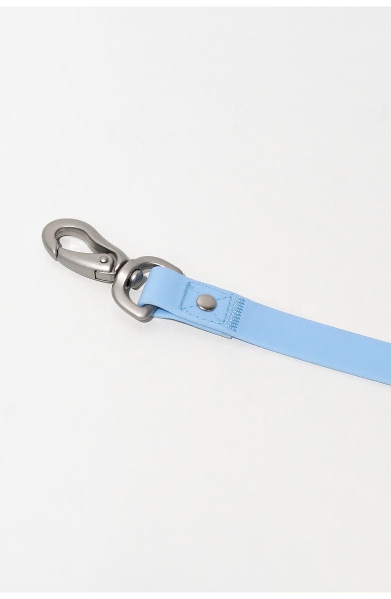 Springer Dog Leash & 15 oz. Water Bottle Set, Alternate, color, Sky Blue