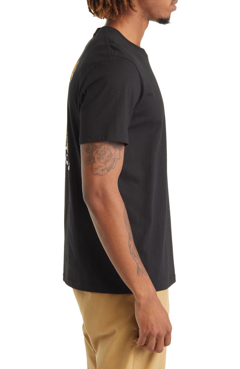Rip Curl Rays & Hazed Cotton Graphic Tee, Alternate, color,