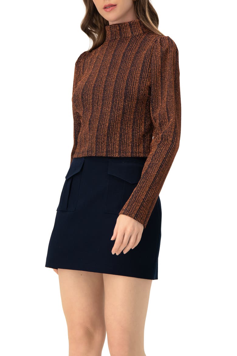 High Neck Long Sleeve Top, Alternate, color, Brown