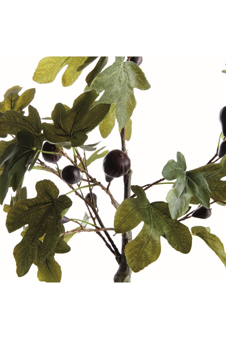 Fig Tree With Figs Potted Drop-In 34", Alternate, color, Green