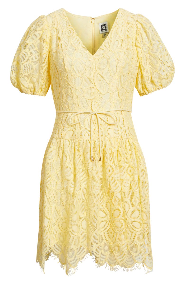 Anne Klein Lace Minidress, Alternate, color, 