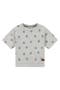 selected Light Grey Melee