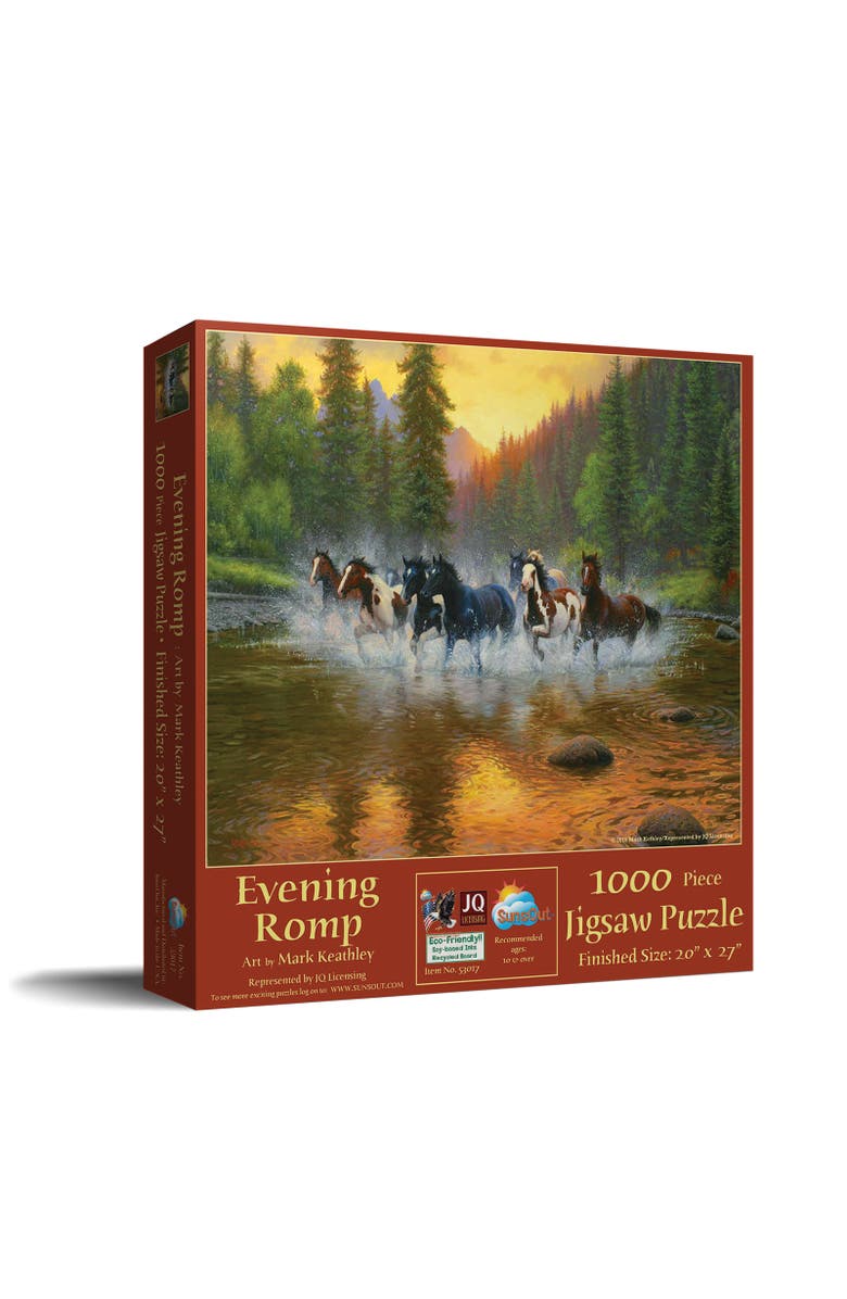 Sunsout Evening Romp 1000 piece Jigsaw Puzzle for Adults, Main, color, Multicolor