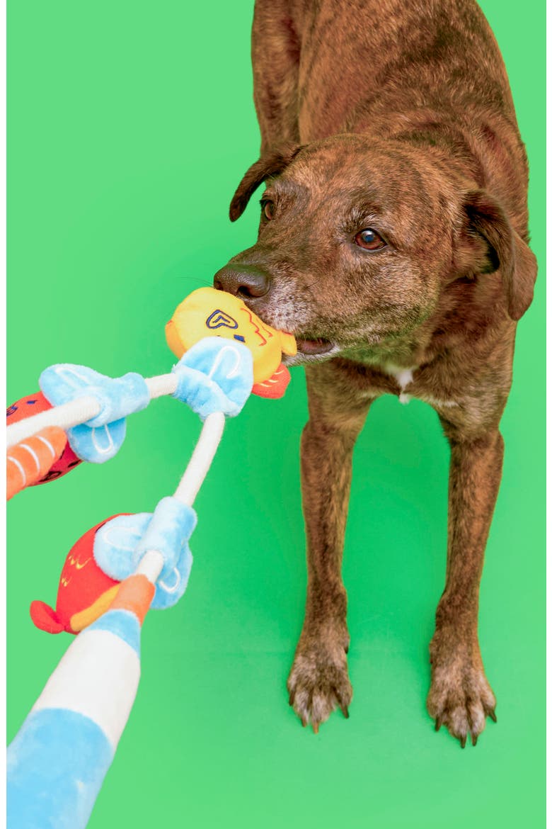 Fishing Nosework & Tug Toy, Alternate, color, AQUA