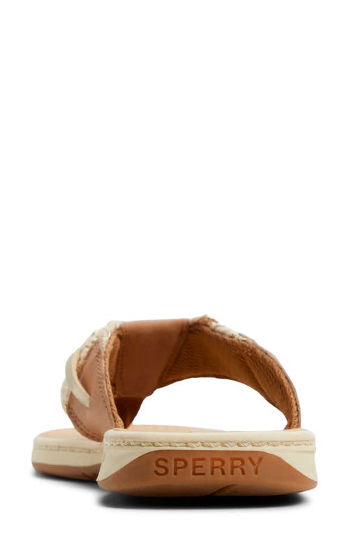 Sperry 'parrotfish' Thong Sandal