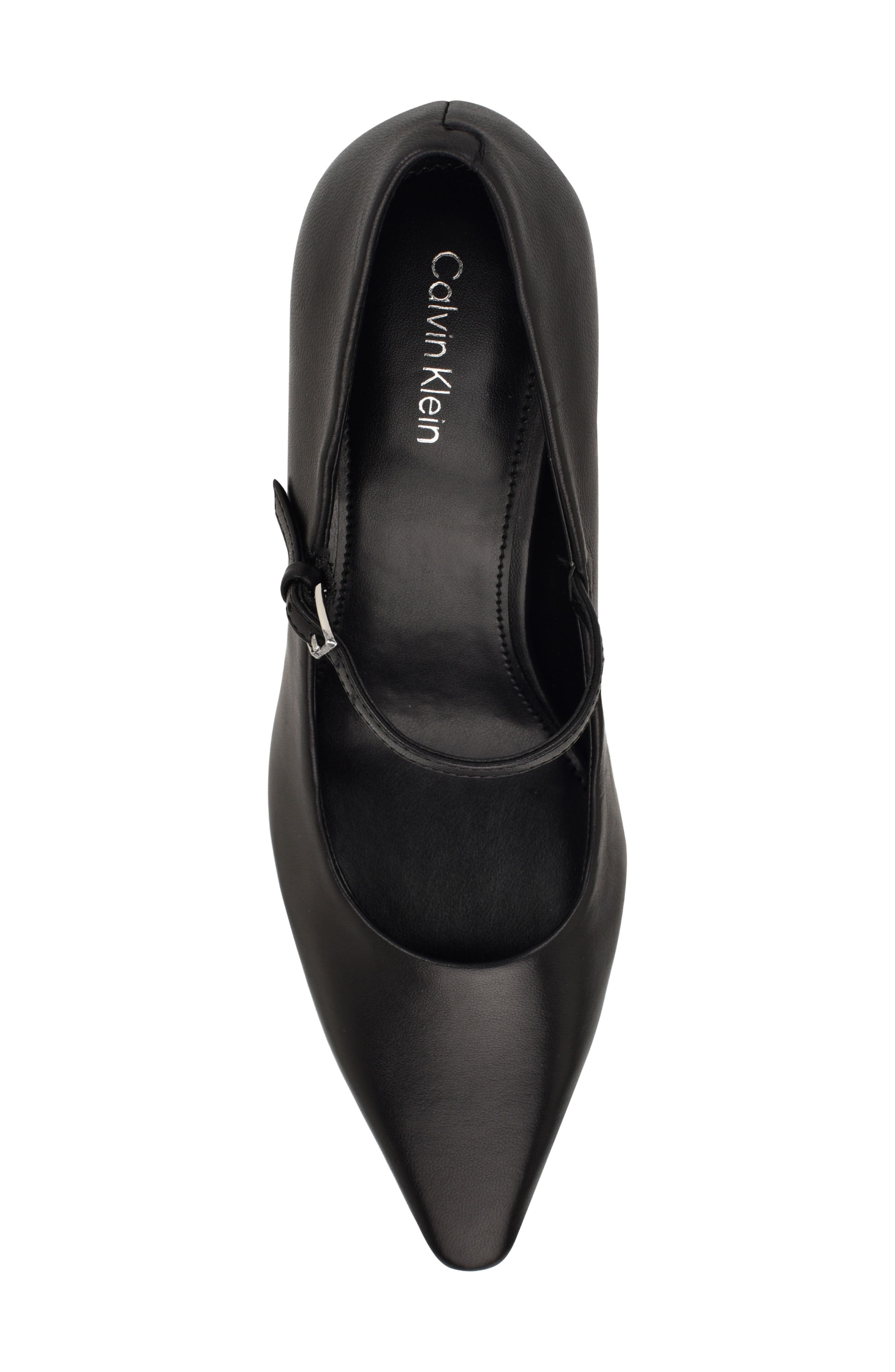 Calvin Klein Naprina Pointed Toe Mary Jane Pump, Alternate, color, Black
