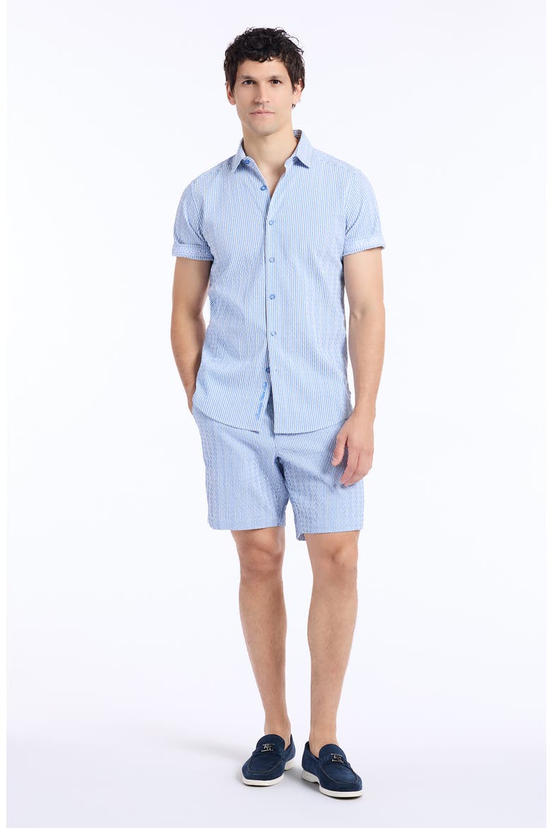 Fornillo Stripe Woven Shorts, Alternate, color, NAVY