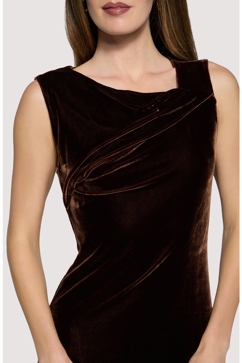 Woodland Hour Stretch Velvet Maxi Dress, Alternate, color, BROWN