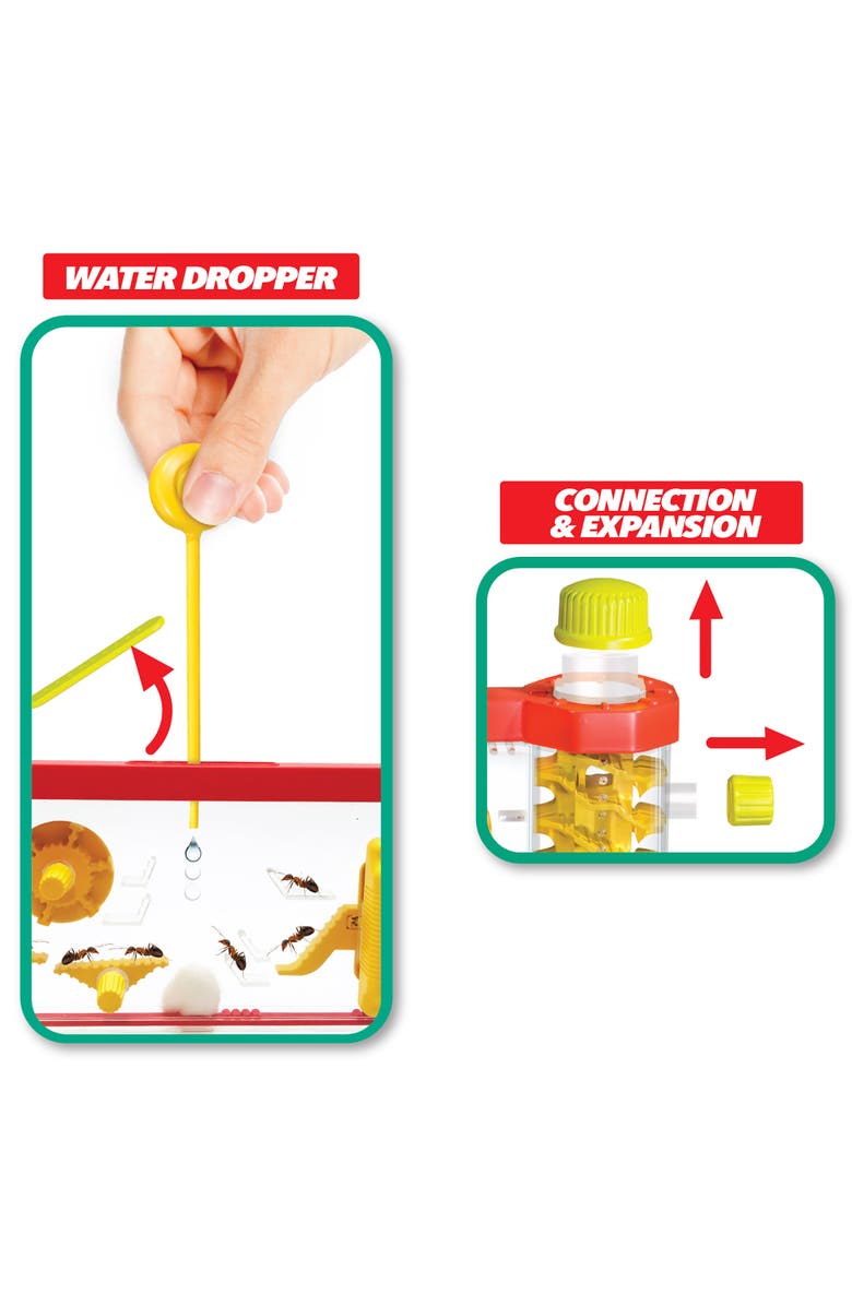 Lanard Nature Explorer Ant Condo Interactive Insect Sand Habitat, 3+, Alternate, color, 