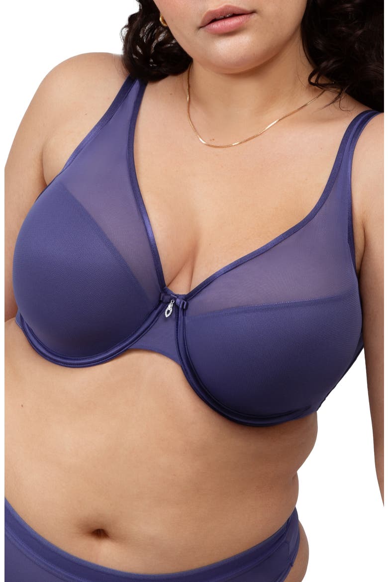 Sheer Mesh Plunge T-Shirt Bra, Alternate, color, VINTAGE BLUE