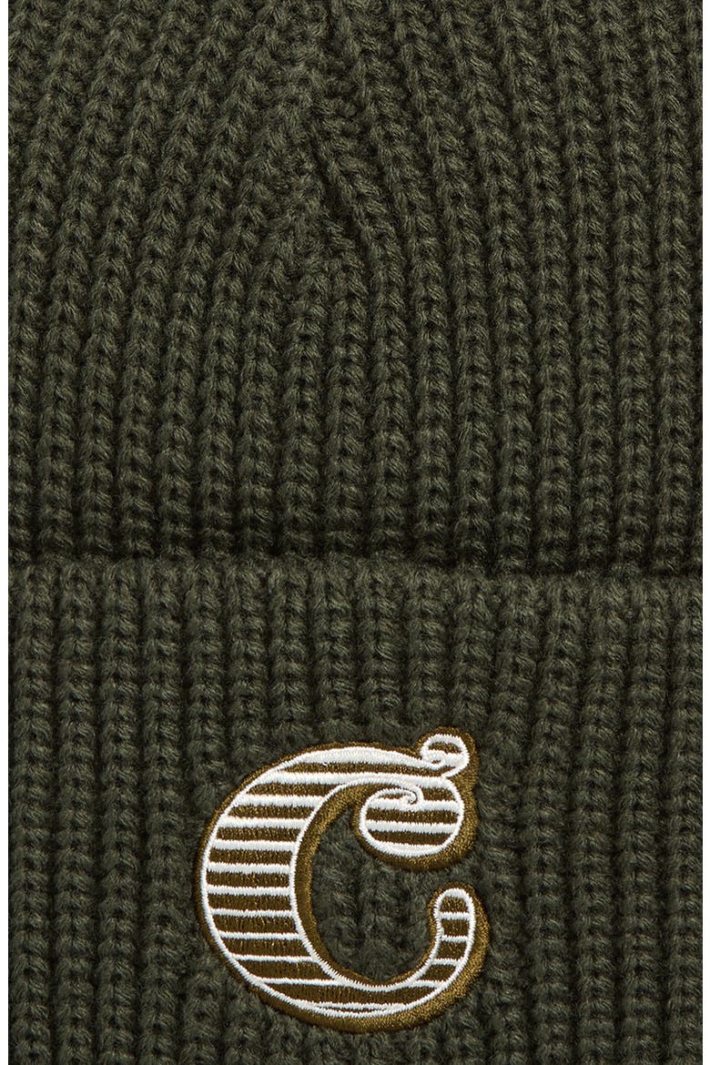 Cold World Beanie, Alternate, color, OPUNTIA