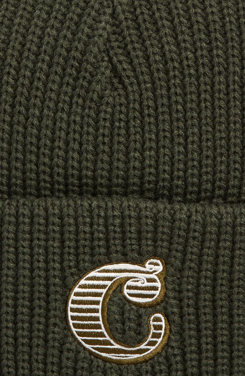 Carhartt Work In Progress Cold World Beanie, Alternate, color, Opuntia