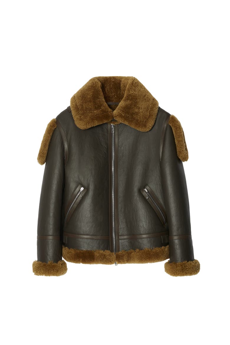 Shearling Aviator Jacket, Alternate, color, Otter brown