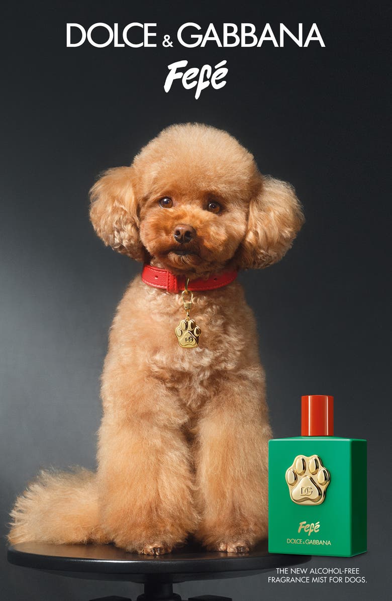 Dolce&Gabbana Fefé Fragrance Mist for Dogs, Alternate, color,