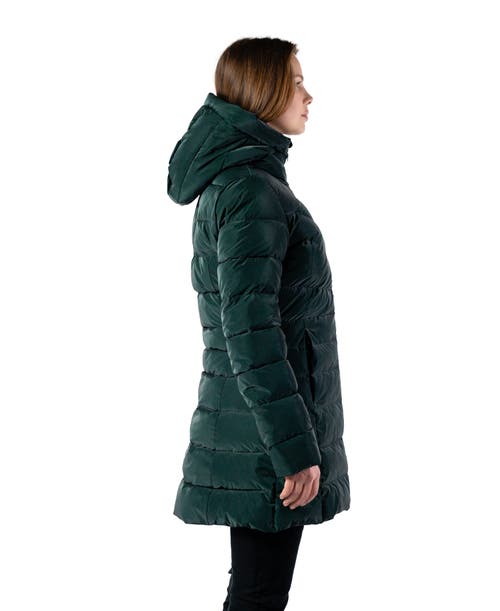 Woodpecker Long Robin Medium Weight Coat In Green