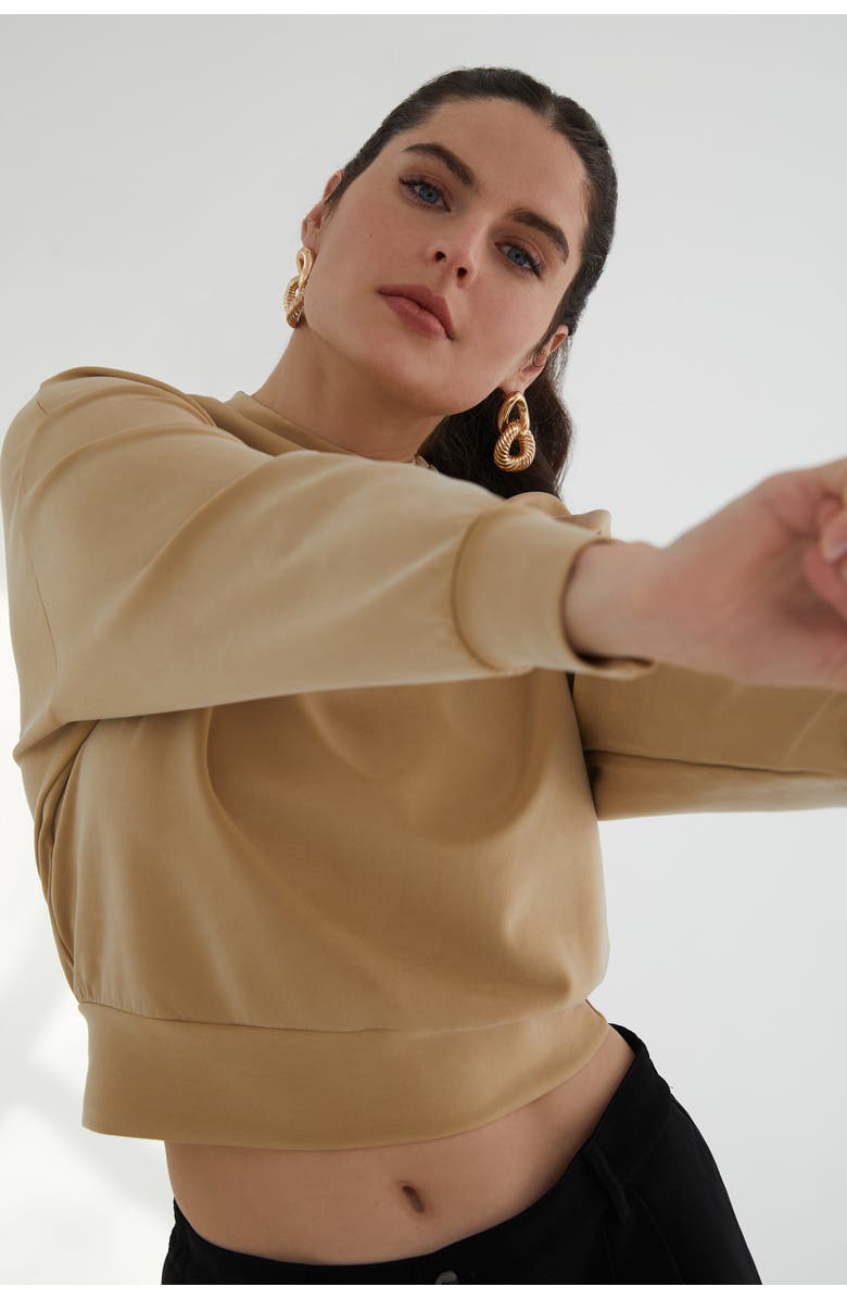 KADA The Cupro Power Pullover Sweatshirt, Alternate, color, Camel