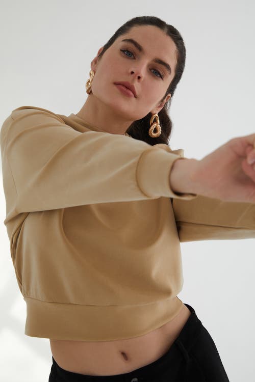 Kada The Cupro Power Pullover Sweatshirt In Brown