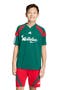 selected Team Dark Green/ White/Scarlet