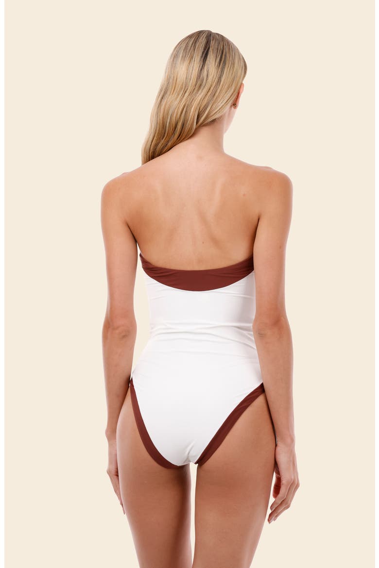 Lunaria Colorblock One-Piece Swimsuit, Alternate, color, BARN RED COLOR BLEND