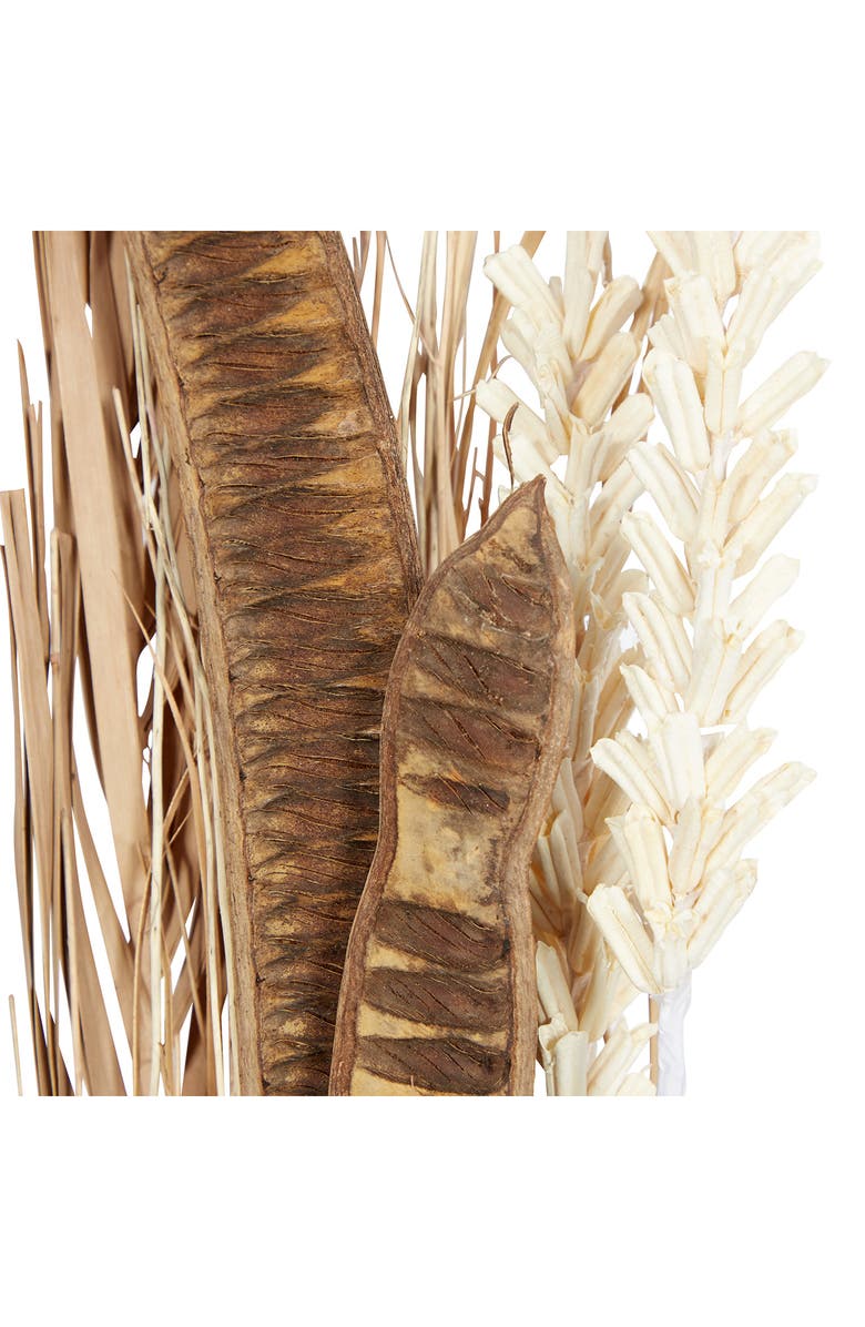 SONOMA SAGE HOME Brown Dried Plant Pigeon Pea Natural Foliage - Set of 2, Alternate, color, Brown