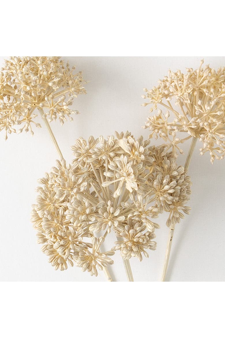 Sullivan's Seed Pod Spray, Cream Faux Floral Stem for Crafting, Weddings, Home and Holiday Decoration, 31 Inch, Alternate, color, Beige