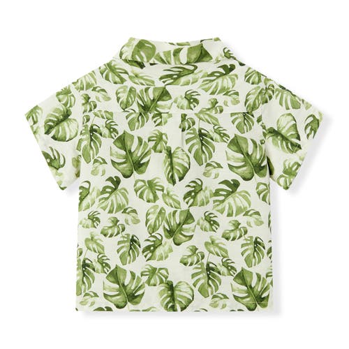 Milkbarn Linen Button-up Shirt And Shorts Set