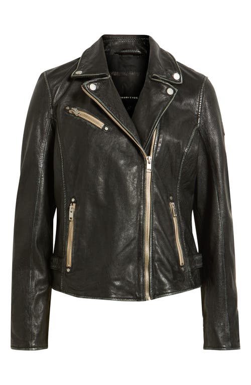 Mauritius Sofia Lambskin Moto Jacket In Black