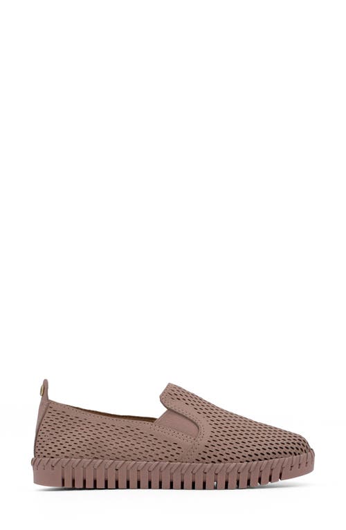Bottero Bottwister Verao Xxiii Slip-on Sneaker
