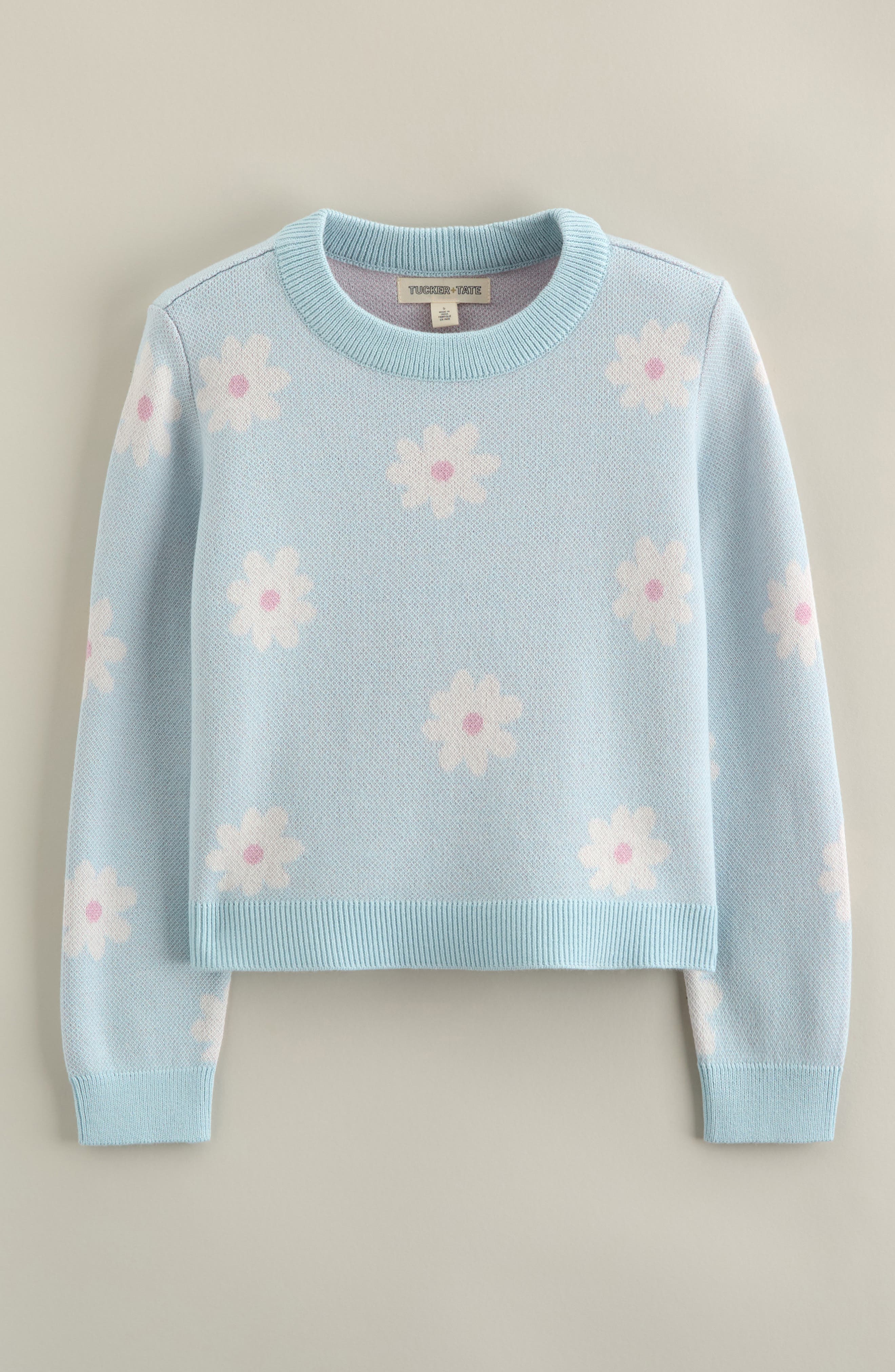 selected BLUE DELICATE SPRING DAISIES