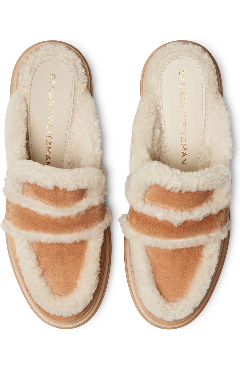 Stuart Weitzman Lennox Genuine Shearling Trim Platform Loafer, Alternate, color, New Camel/ Natural/ Caramel