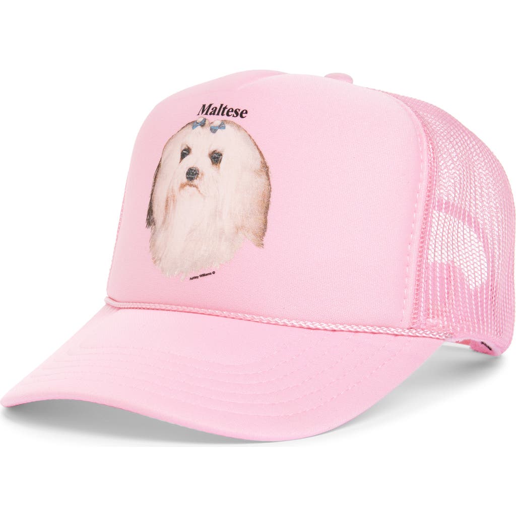 Ashley Williams Pink Maltese Trucker Hat In Pink
