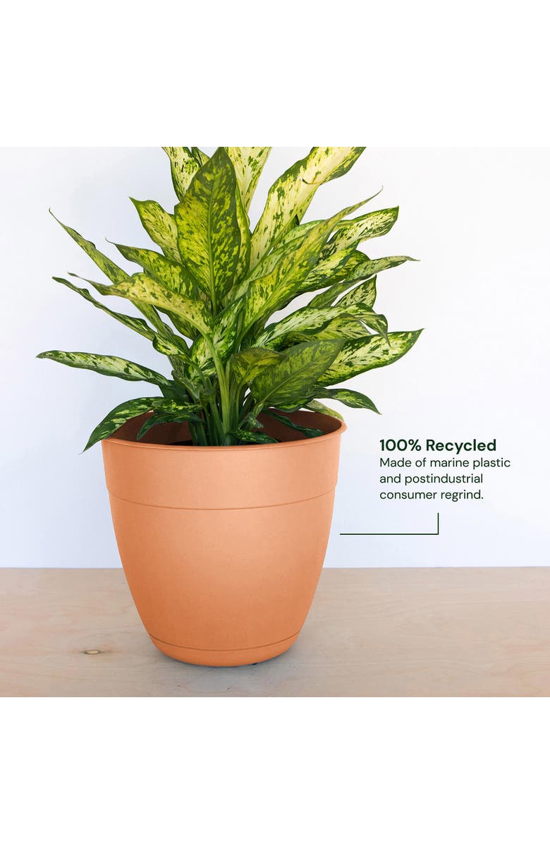 Bloem 12 Inch Dayton Planter With Saucer Tray, Alternate, color, Orange