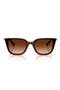  Transparent Brown / Brown