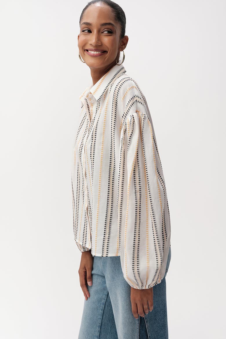 Bernyce Shirt Collar Long Sleeve Cotton Shirt, Alternate, color, Multi Color
