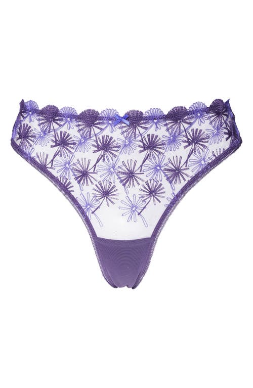 Huit Make A Wish Tang in Purple 