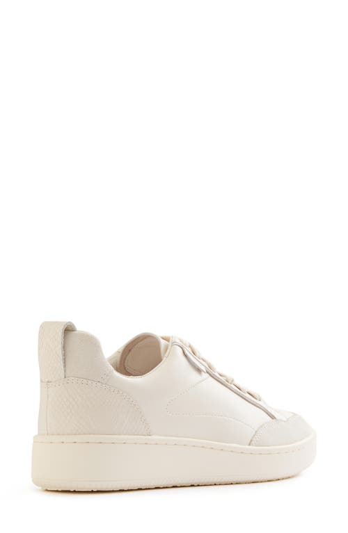 Frankie4 Farren Sneaker