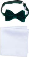 NORDSTROM RACK Velvet Bow Tie