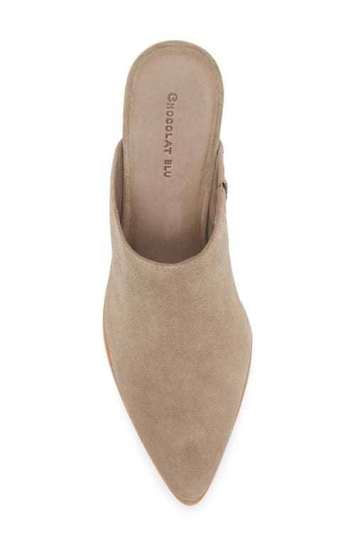 Chocolat Blu Emery Pointed Toe Mule In Brown