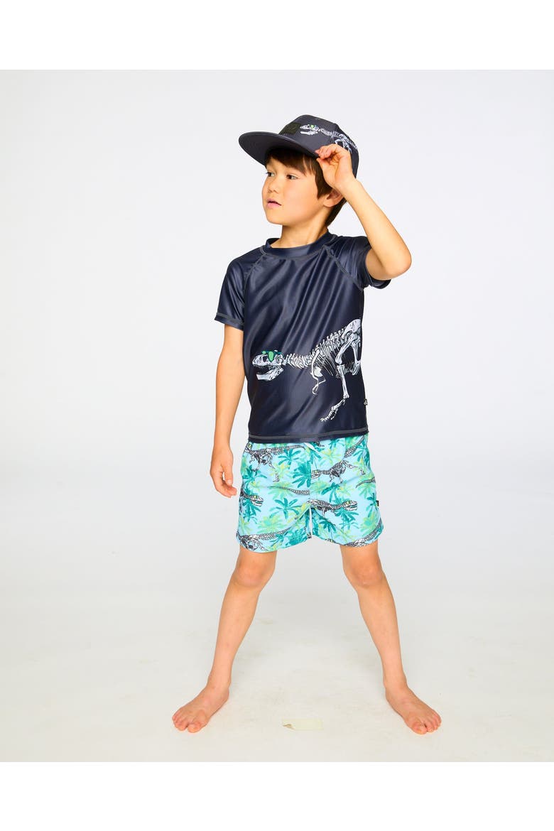 Short Sleeve Graphic Dinosaur Rashguard, Alternate, color, Black