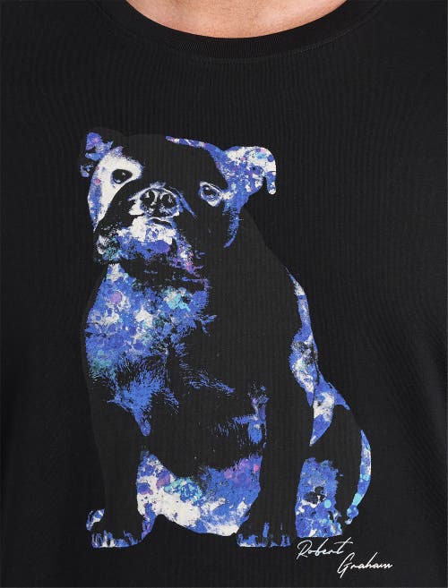 Robert Graham Dxl Big & Tall X-ray Graham Graphic Tee In Black