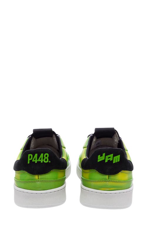 P448 Yam Skate Sneaker