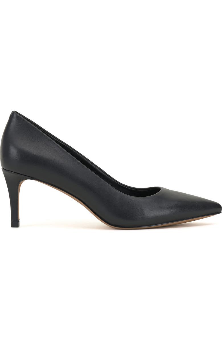 Vince Camuto Kehlia Pointed Toe Pump, Alternate, color,