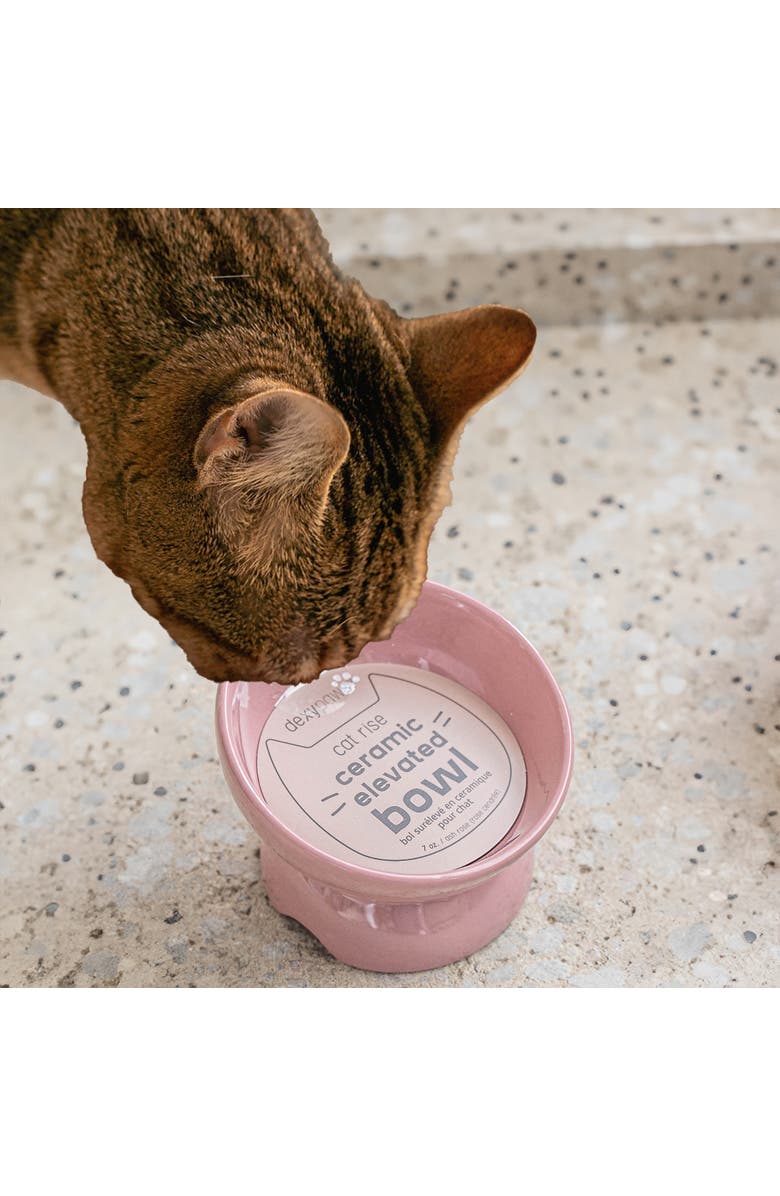 Dexypaws Elevated Ceramic Bowl For Cats 7oz Capacity, Alternate, color, Pink
